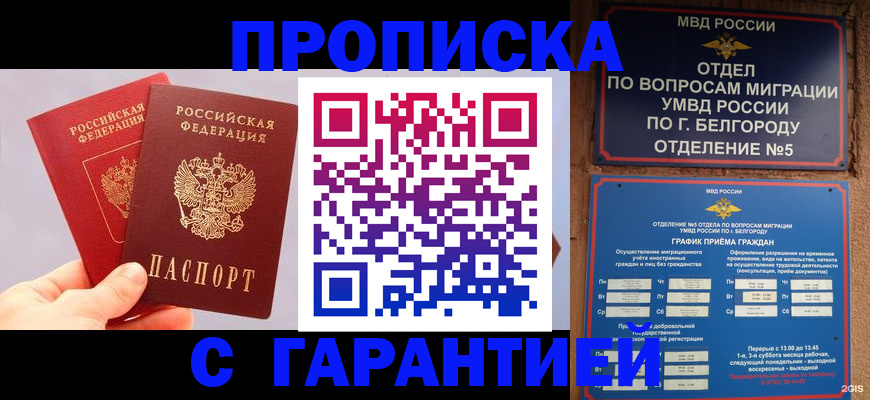 прописка 2025 в Алексине